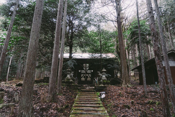 Fototapeta na wymiar 賀茂神社