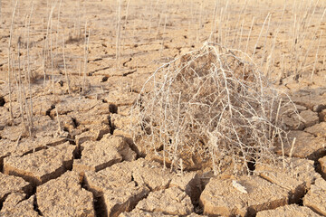 Dry and cracked land, dry due to lack of rain, in the Loteta reservoir, near the town of Gallur,...