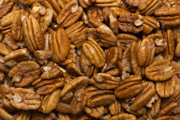 Pecan-nut isolated on white background.