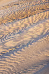 Sandverwehungen im Tideland von Sankt Peter-Ording, Nordsee, Deutschland