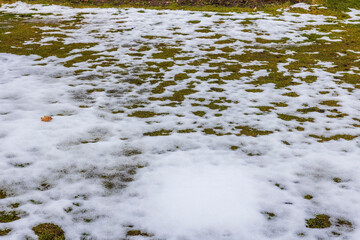 Beautiful natural landscape view of snowy front yard. Green plants under and grass under white snow on sunny spring day. Sweden.