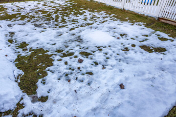 Beautiful natural landscape view of snowy front yard. Green plants under and grass under white snow on sunny spring day. Sweden.