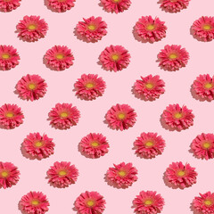 Creative pattern made of red gerbera daisy flowers on bright pink background.