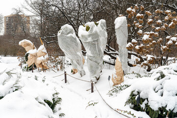 Winter protection for the garden, winter shelter for garden plants, shelter for rhododendrons,...
