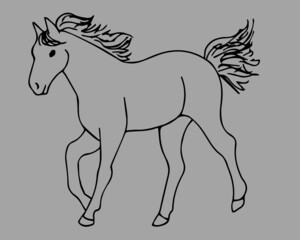 Obraz na płótnie Canvas Horse art, horse vector, horse illustration