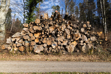 huge cut wood pile with thick and thin stored wood, storm devastated the whole forest, blue sky, daytime