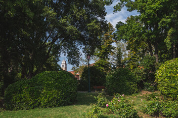 Biannale garden with tower in distance in Venice, Italy