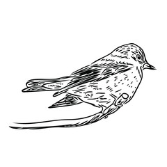 The grey flycatcher (Muscicapa striata) sits on a branch. Stylized vector black and white sketch illustration for logos, emblems, ornithological books and magazines.