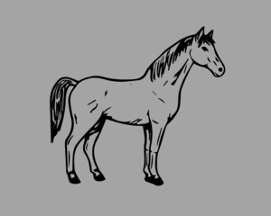 Horse art, horse vector, horse illustration