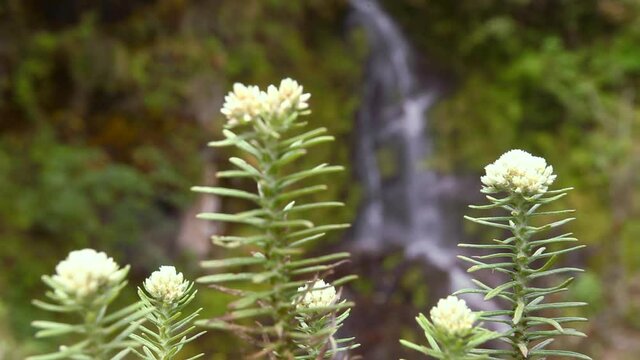 Small waterfall in Himalayan mountains in Nepal