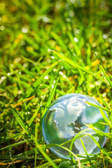 Glass globe in the grass