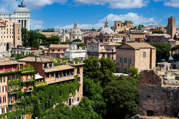 Fototapeta na wymiar Blick vom Palatin über Rom