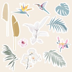 Fototapeta na wymiar Cute tropical set of different stickers with wild birds, exotic flowers and leaves. Summer cartoon doodle hand drawn elements.