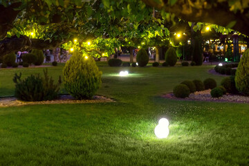 illumination park light garden with electric ground ball lantern with stone mulch and thuja bushes...