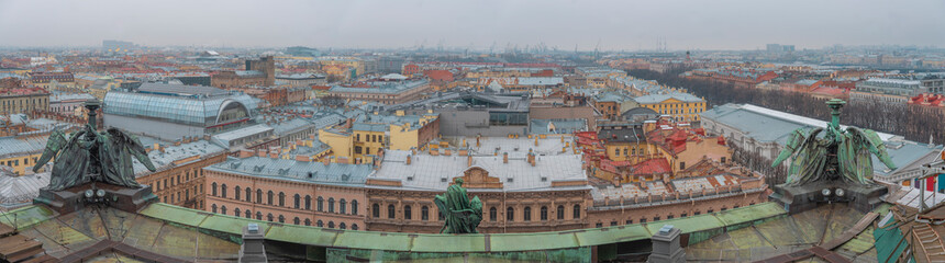 Fototapeta na wymiar roofs of the city of St. Petersburg.