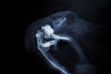 Naklejka premium Abstract white smoke moves on black background. Beautiful swirling gray smoke.