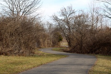 Fototapeta premium The winding empty pathway in the park.