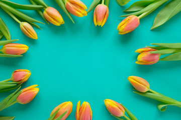 Fresh yellow-red tulips on a mint background. Holiday concept