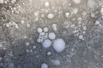 Bubbles Trapped in the Ice. Winter scene detail of air caught in the frozen water.