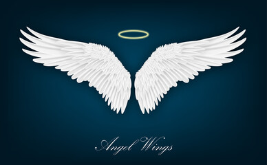 Realistic wings. Pair of white isolated angel style. Spirituality and freedom concept. Vector illustration on dark background