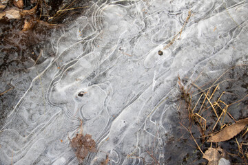 Thin Puddle Ice with Beautiful Swirling Designs. Frozen water on a cold winter day.