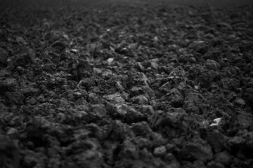 black and white earth growth mud agriculture field