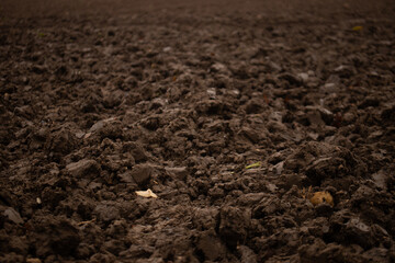 Growth earth mud brown agriculture field dark
