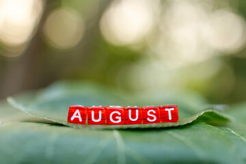 inscription from cubes august against the background of a beautiful natural bokeh of foliage