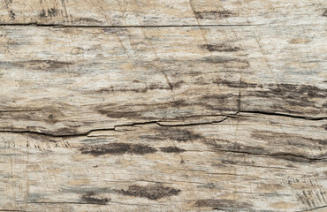 Natural old wood texture background.