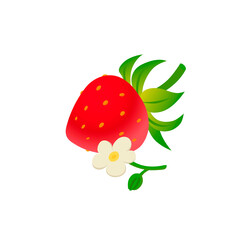 Strawberry with flower