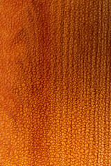 The texture of the wooden surface hidden by small drops of water. Vertical composition