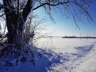 Winter wonderland © Daria