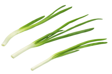 Green onion isolated on white background
