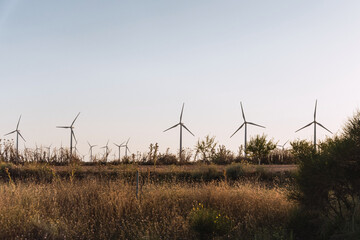 Wind turbines on beautiful sunny summer day. Wind Turbine Farm. Green ecological power energy generation