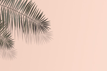 Fototapeta na wymiar palm tree leaves on pink background