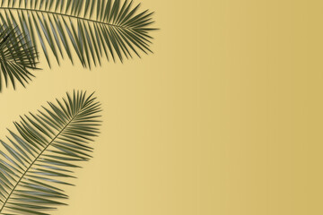 Fototapeta premium palm leaves on yellow background