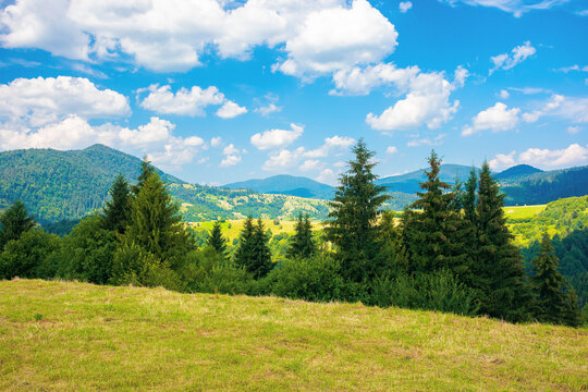 mountainous rural landscape in summertime. trees on the hillside meadow. clouds on the blue sky above the distant ridge. countryside adventures on a sunny day
