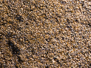 Natural sand and shells background drone shot