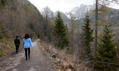Strolling through the mountains of Slovakia between rivers and large trees