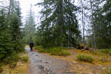 Strolling through the mountains of Slovakia between rivers and large trees