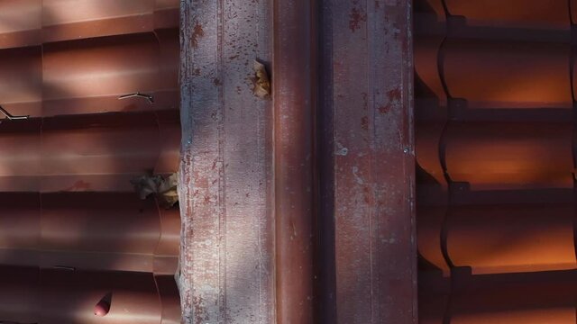 Drone zoom of hut roofs in nature