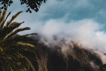 Postal vintage con palmeras y nubes en una isla exótica y tropical (tenerife)