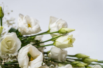Bunch of white Eustoma flowers isolated on white background/ Selective focus