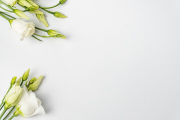 Flowers composition. Frame made of white flowers on white background. Flat lay, top view, copy space