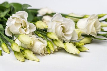 Bunch of white Eustoma flowers isolated on white background/ Selective focus
