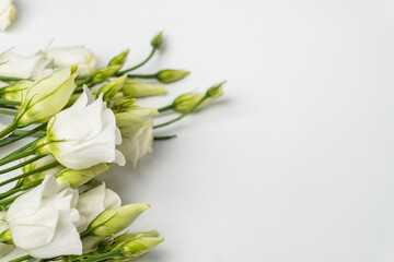 Beautiful white eustoma flower (lisianthus) in full bloom with green leaves. copy space for text.  background for wedding invitation