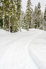 Fragment of mountain snowshoe trail in Whistler, Vancouver, Canada.