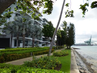 beach, Singapur, Singapore, meer, tropisch, ozean, baum, himmel, wasser, natur, sand, insel, palme, sommer, k&uuml;ste, blau, landschaft, green, palme, baum, urlaub, wohnungen, apartments