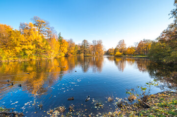 View of city park in autumn