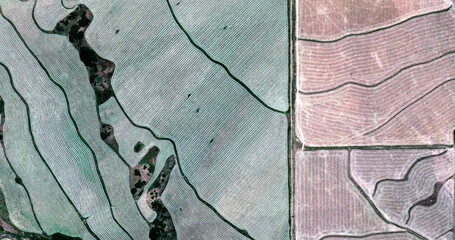 abstract composition, United States, abstract photography of relief drawings in  fields in the...